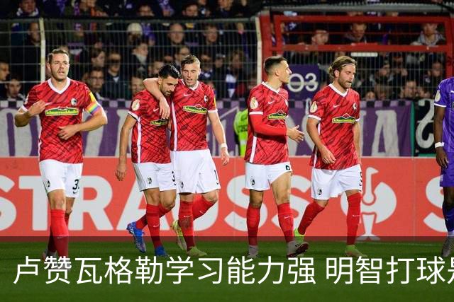 卢赞瓦格勒学习能力强 明智打球是关键
